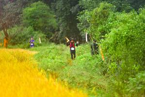 BIB: 
                            <button type="button" onclick="openModal(13455999)" class="btn btn-primary btn-sm float-right btn-popup" data-toggle="modal" data-target=".modal-high-quality">
                        <i class="fas fa-shopping-cart"></i> Add to Cart
                    </button>
                                            <button type="button" onclick="isThisMe(13455999, true)" class="btn btn-success btn-sm float-right btn-popup btn-isme hidden" data-toggle="tooltip" data-placement="bottom" title="นี่คือรูปของคุณใช่ไหม คลิกที่นี่เพื่อเอาเข้าอัลบั้ม">
                        <i class="fas fa-plus"></i> Add to album
                    </button>
                    <button type="button" onclick="isThisMe(13455999, false)" class="btn btn-warning btn-sm float-right btn-popup btn-isnotme hidden">
                        <i class="fas fa-ban"></i> Remove from album
                    </button>